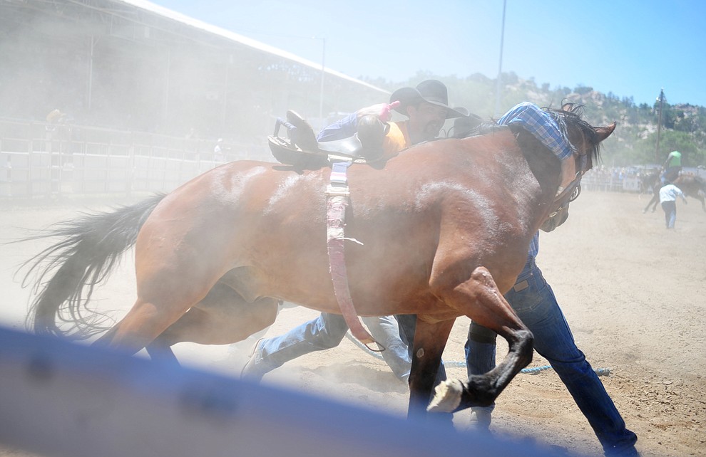 Wild horse racing/Extreme bronc riding during the fourth performance of the Prescott Frontier Days Rodeo Thursday July 4, 2019. (Les Stukenberg/Courier)