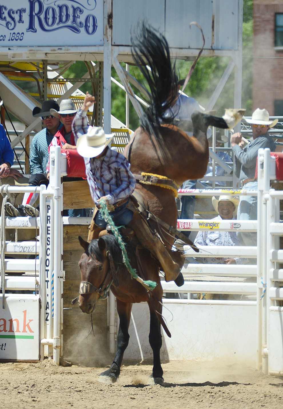 Huckleberry Sandsness in the Cowpunchers Bronc Riding during the fourth performance of the Prescott Frontier Days Rodeo Thursday July 4, 2019. (Les Stukenberg/Courier)