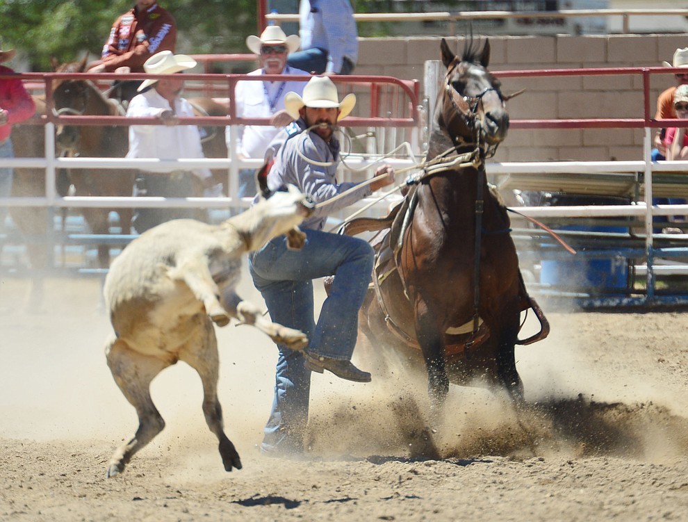 Cade Swor in the tie down roping during the fourth performance of the Prescott Frontier Days Rodeo Thursday July 4, 2019. (Les Stukenberg/Courier)