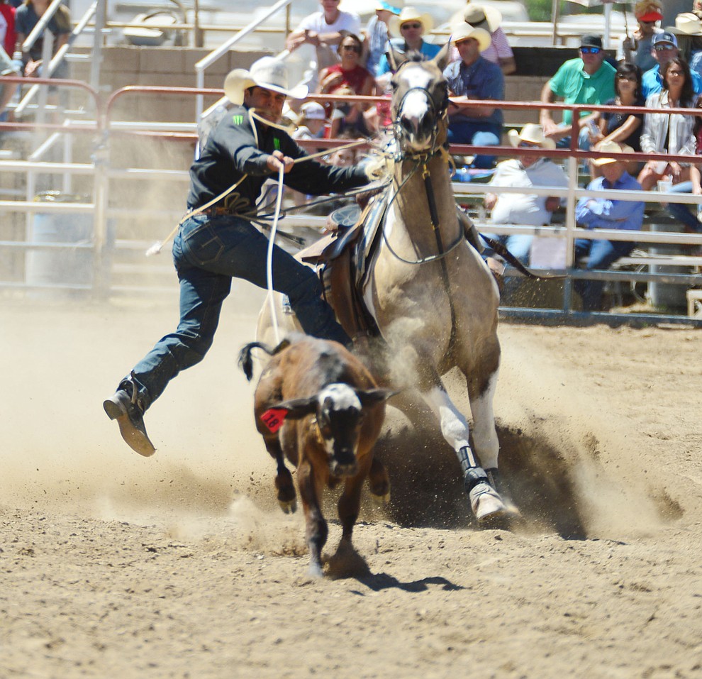 Kalai Nobriga in the tie down roping during the fourth performance of the Prescott Frontier Days Rodeo Thursday July 4, 2019. (Les Stukenberg/Courier)
