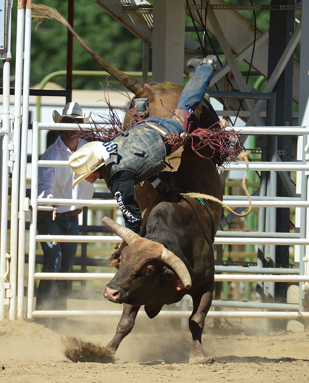 Clay Pannell goes up and off of Monte Walsh in the bull riding during the fourth performance of the Prescott Frontier Days Rodeo Thursday July 4, 2019. (Les Stukenberg/Courier)