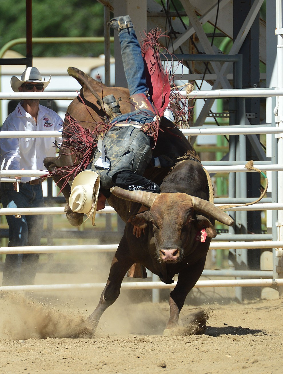 Clay Pannell goes up and off of Monte Walsh in the bull riding during the fourth performance of the Prescott Frontier Days Rodeo Thursday July 4, 2019. (Les Stukenberg/Courier)