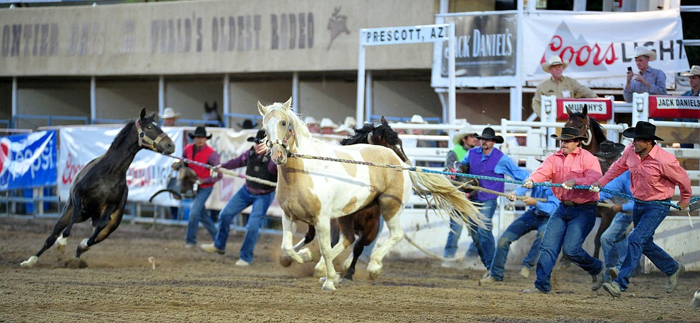Wild horse racing/extreme bronc riding during the 5th performance of the Prescott Frontier Days Rodeo Friday July 5, 2019. (Les Stukenberg/Courier)