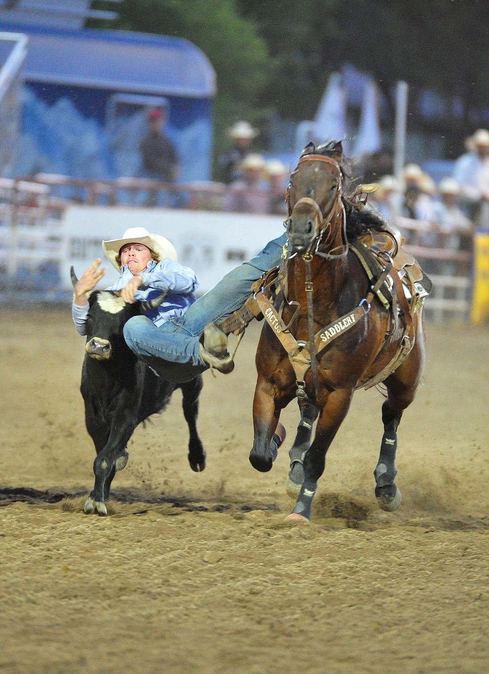 Tucker Allen has a 9.6 second run in the steer wrestling during the 5th performance of the Prescott Frontier Days Rodeo at the Prescott Rodeo grounds Friday July 5, 2019. (Les Stukenberg/Courier)