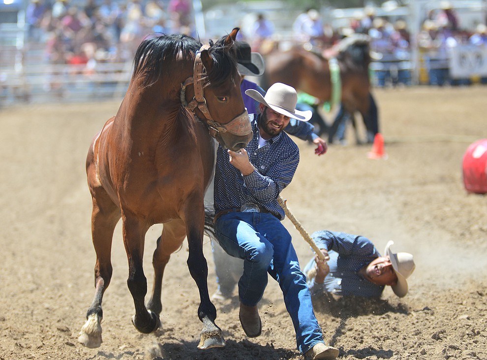 Wild Horse Racing/Extreme Bronc Riding during the 6th performance of the Prescott Frontier Days Rodeo Saturday afternoon July 6, 2019. (Les Stukenberg/Courier)
