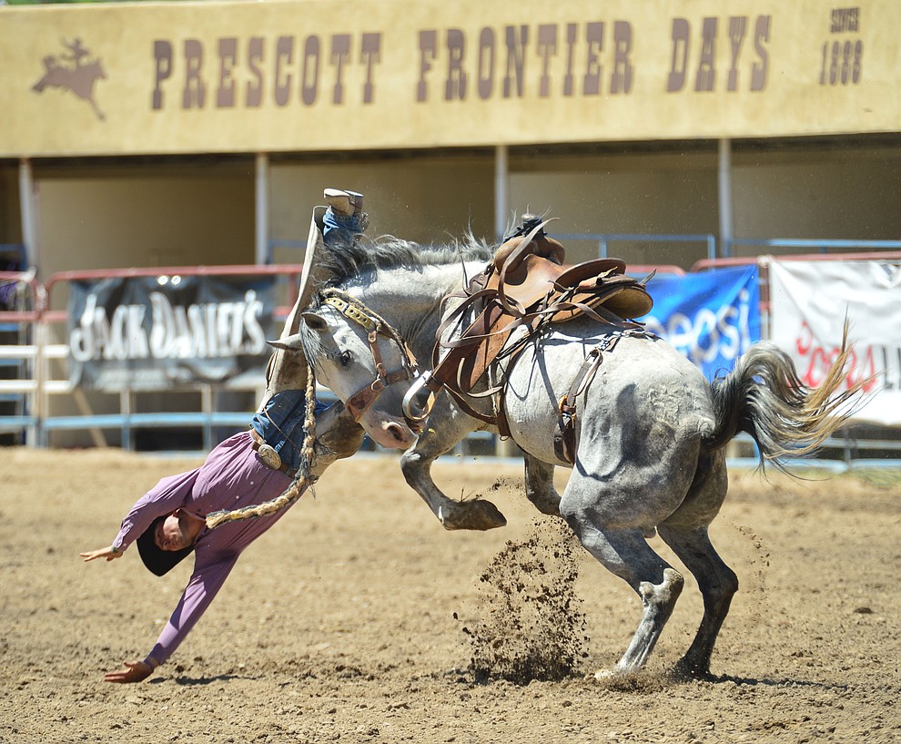 Ty Smith gets dashboarded by Catclaw in the Cowpunchers Bronc Riding during the 6th performance of the Prescott Frontier Days Rodeo Saturday afternoon July 6, 2019. (Les Stukenberg/Courier)