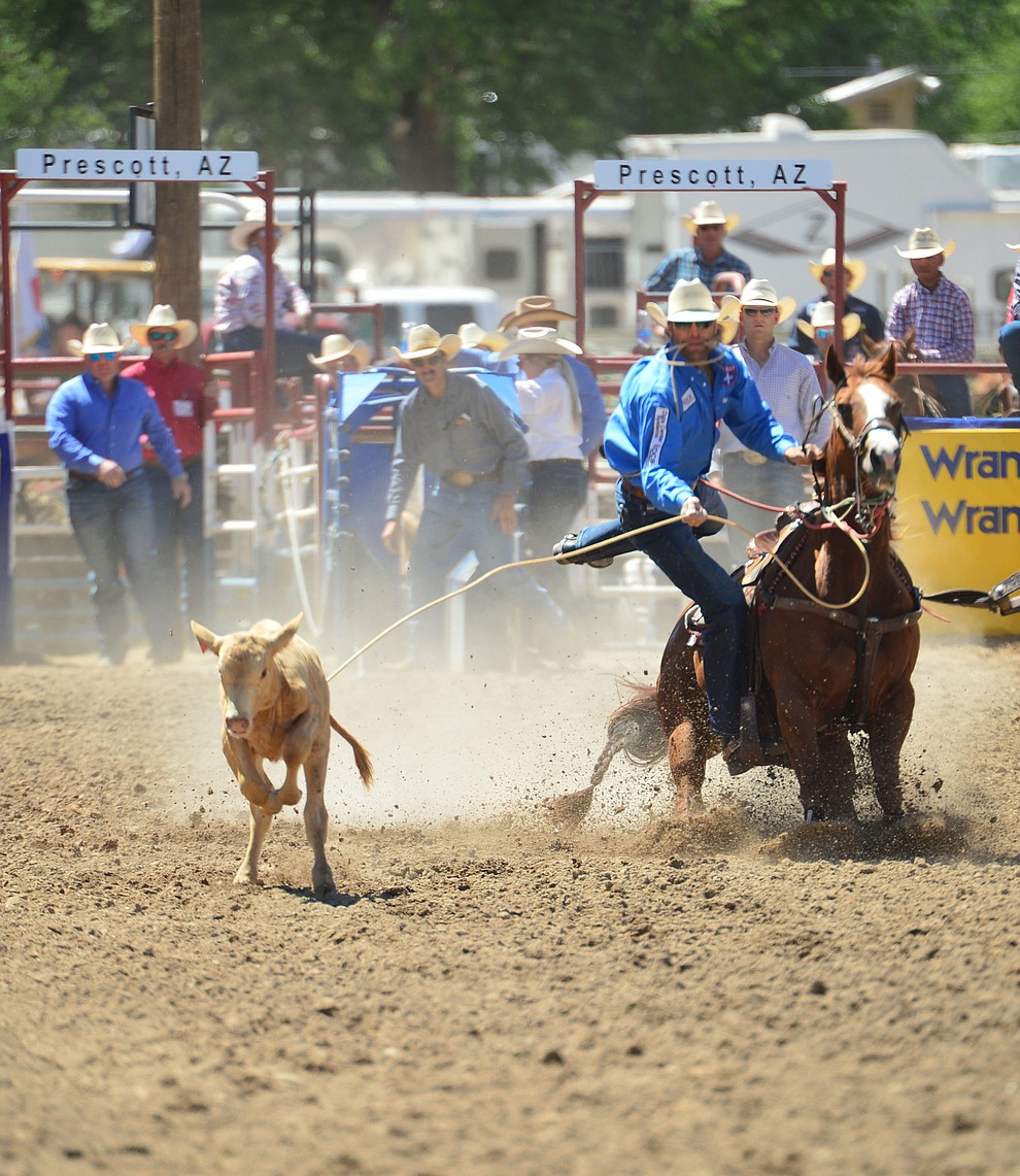 Adam Gray runs 10.6 in the tie down roping during the 6th performance of the Prescott Frontier Days Rodeo Saturday afternoon July 6, 2019. (Les Stukenberg/Courier)