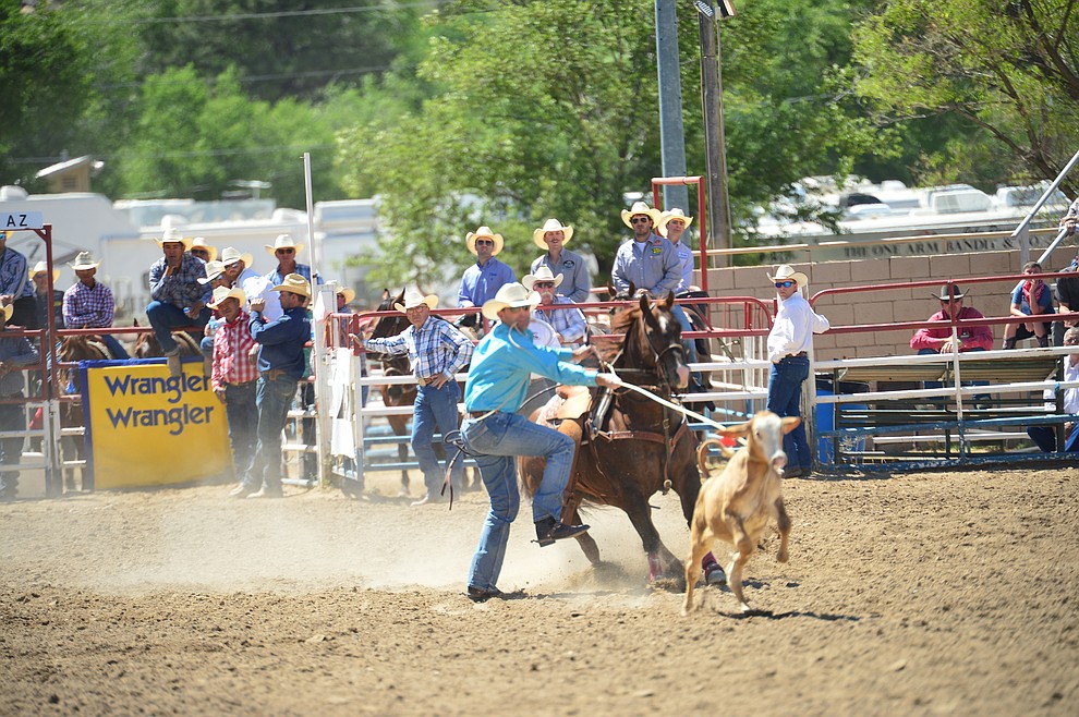Joseph Parsons runs 10.4 seconds in the tie down roping during the 6th performance of the Prescott Frontier Days Rodeo Saturday afternoon July 6, 2019. (Les Stukenberg/Courier)