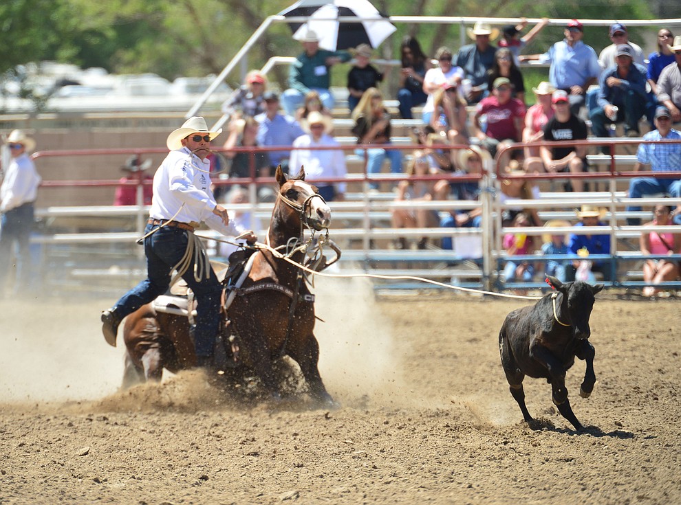Matt Shiowaza runs 10.6 seconds in the tie down roping during the 6th performance of the Prescott Frontier Days Rodeo Saturday afternoon July 6, 2019. (Les Stukenberg/Courier)