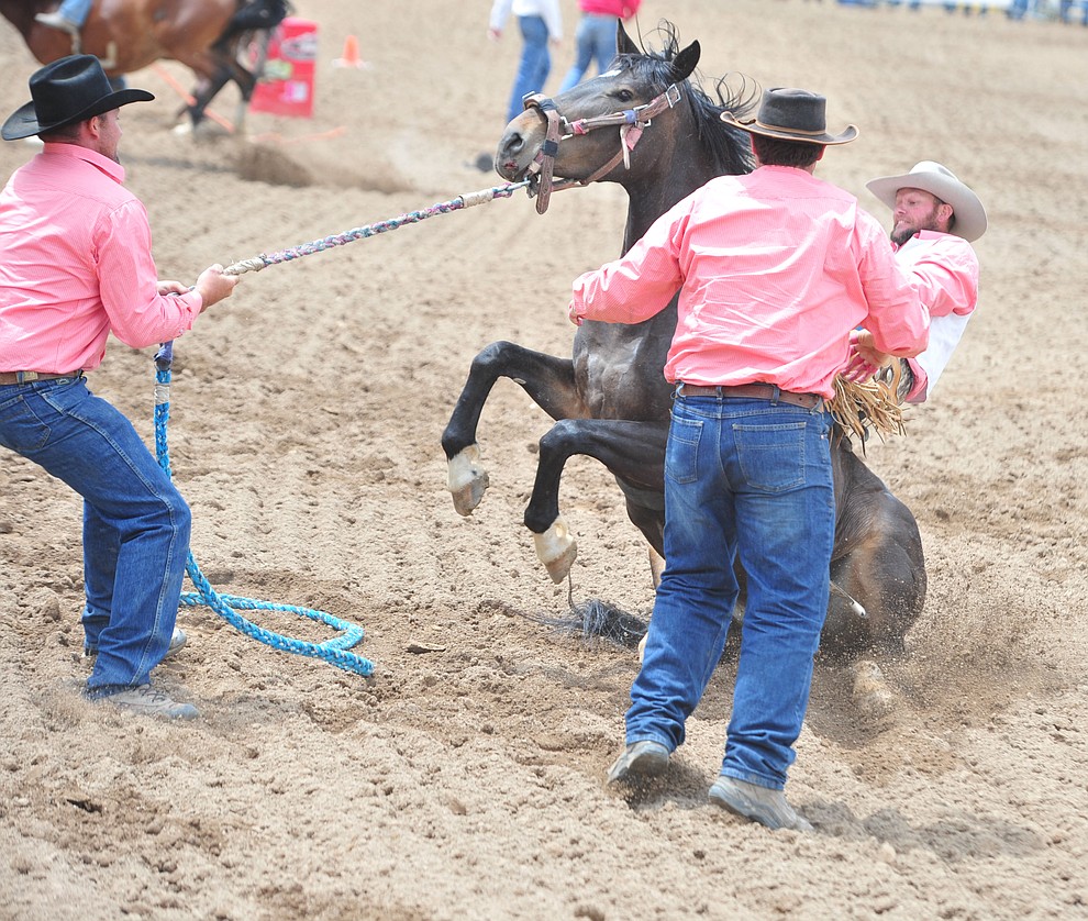 Wild horse racing/Extreme Bronc Riding during the final performance of the Prescott Frontier Days Rodeo Sunday July 7, 2019. (Les Stukenberg/Courier)