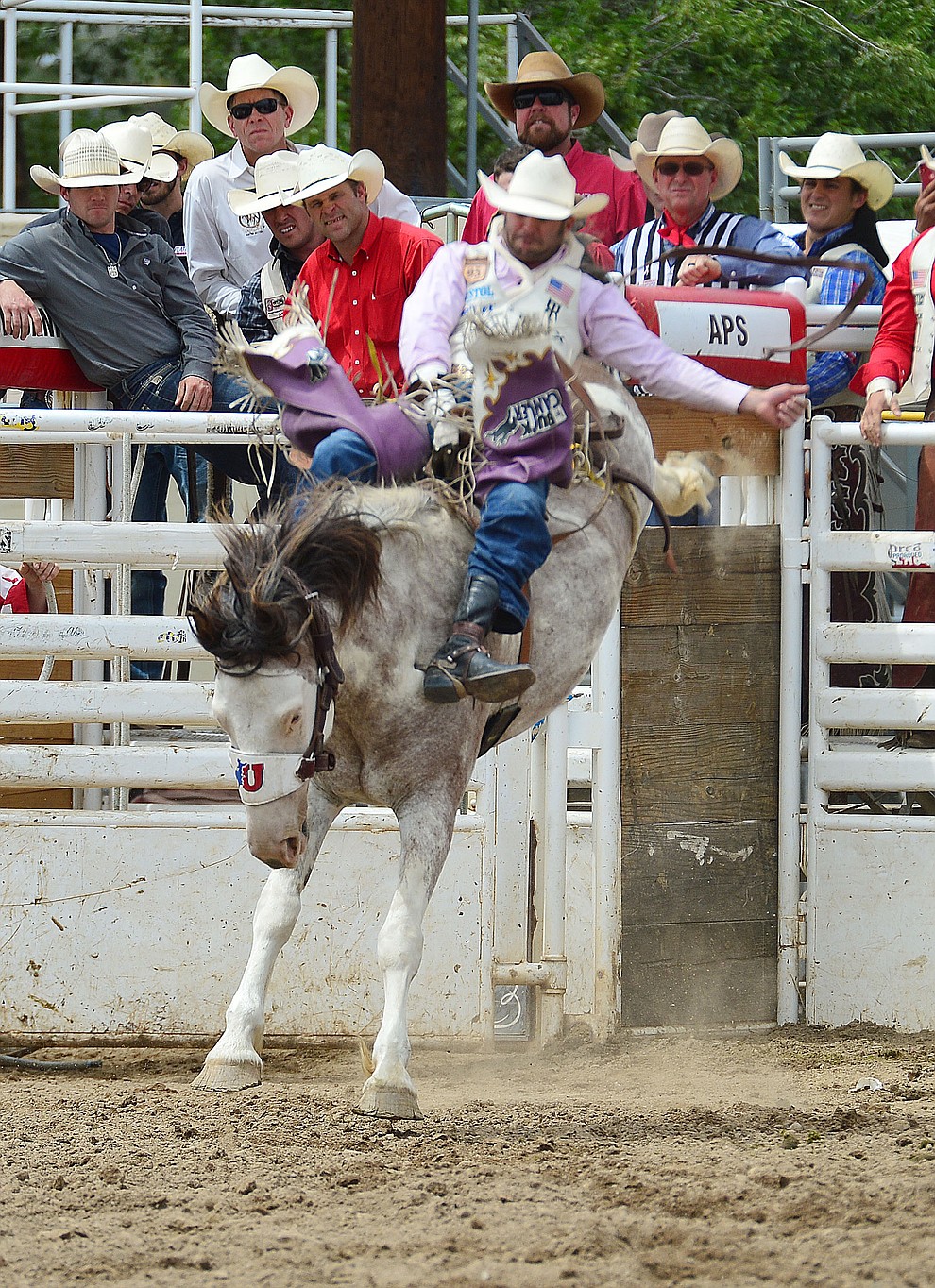 Kaycee Feild rides Pow Wow Nights for 89 points and the win in the bareback riding during the final performance of the Prescott Frontier Days Rodeo Sunday July 7, 2019. (Les Stukenberg/Courier)