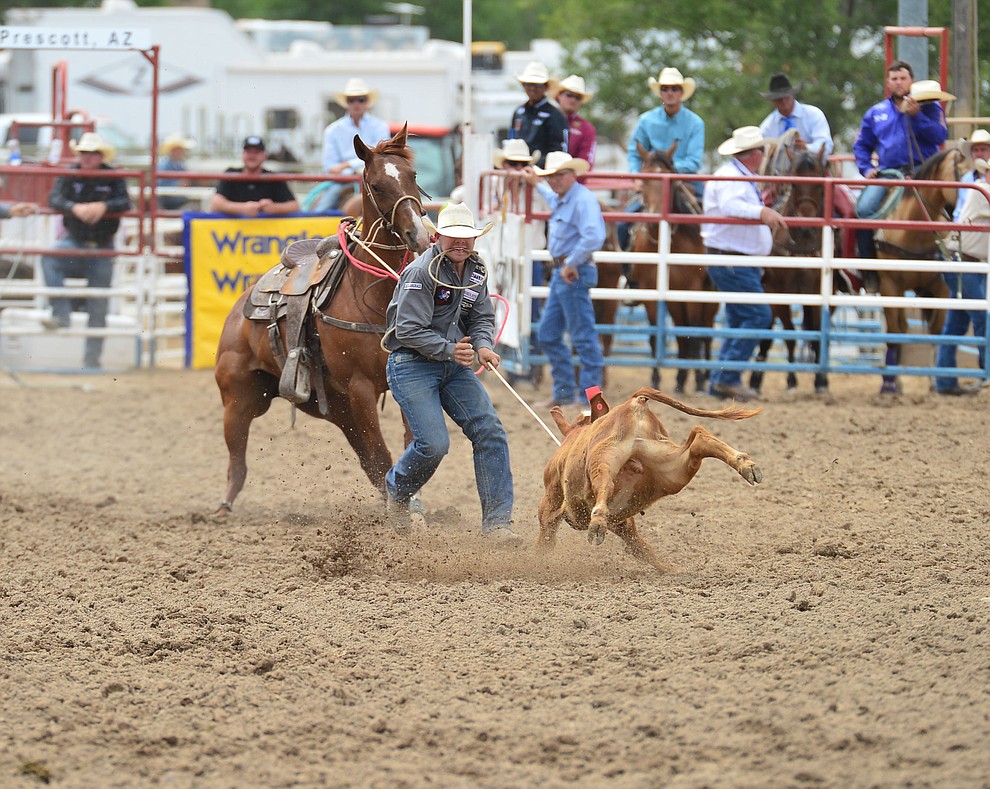Westyn Hughes has a 9.7 second run in the tie down roping during the final performance of the Prescott Frontier Days Rodeo Sunday July 7, 2019. (Les Stukenberg/Courier)