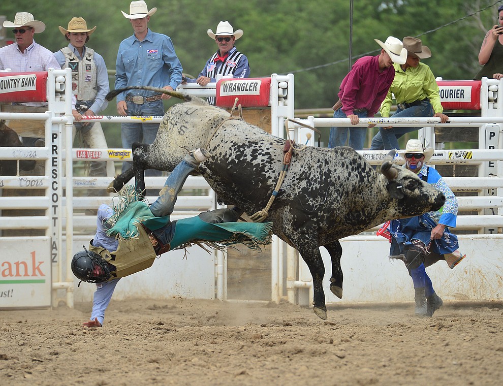 Jake Peterson gets thrown from Meeko in the bull riding during the final performance of the Prescott Frontier Days Rodeo Sunday July 7, 2019. (Les Stukenberg/Courier)