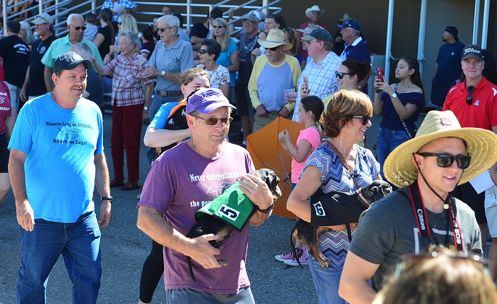 A large crowd was on hand for to watch weiner dog racing action at Arizona Downs in Prescott Valley Saturday July 20, 2019. (Les Stukenberg/Courier)