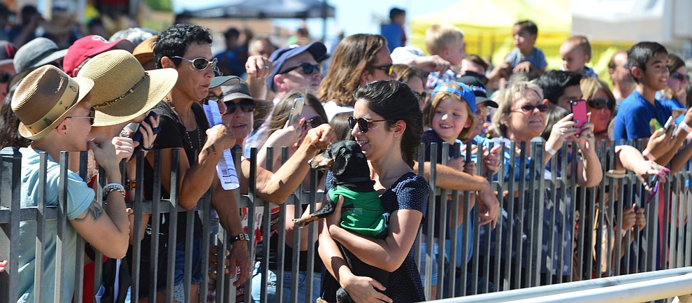 A large crowd was on hand for to watch weiner dog racing action at Arizona Downs in Prescott Valley Saturday July 20, 2019. (Les Stukenberg/Courier)