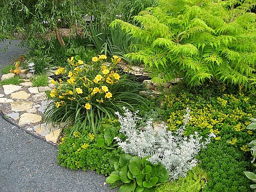 Photo detail
