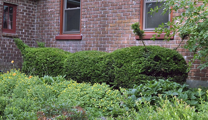 Photo detail
