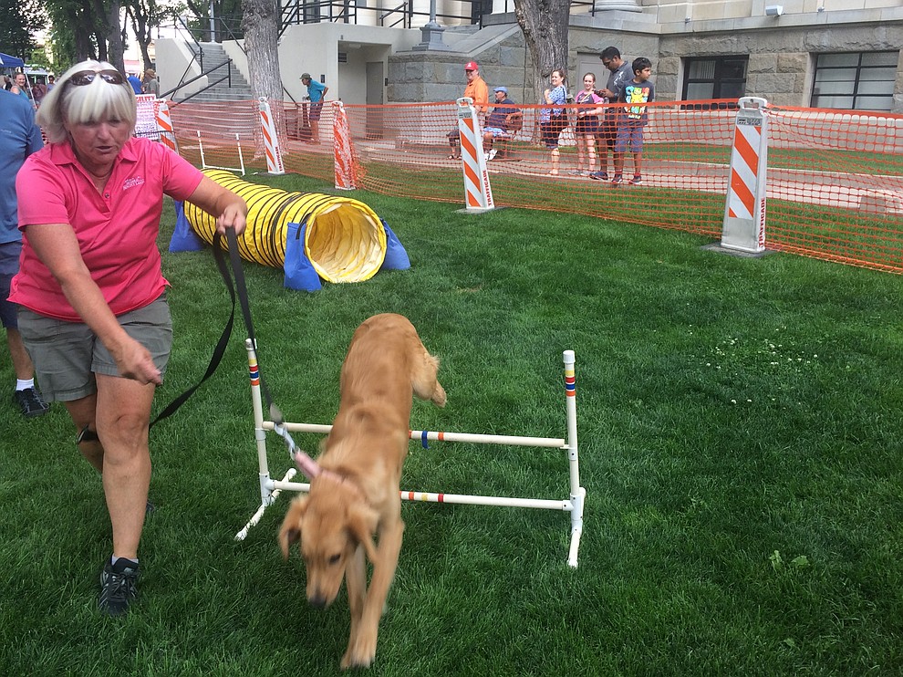 Karen Nauman taking her dog, Riley, through the agility course at the Woof Down Lunchy event at courthouse plaza Saturday, Aug. 3. (Jason Wheeler/Courier)
