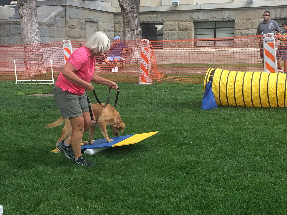 Karen Nauman takes her dog Riley through the agility course at the Woof Down Lunch event at courthouse plaza Saturday, Aug. 3. (Jason Wheeler/Courier)