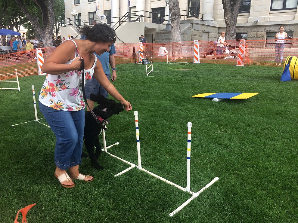 Michele Keck takes her dog Luna through the agility course at the Woof Down Lunch event at courthouse plaza Saturday, Aug. 3. (Jason Wheeler/Courier)
