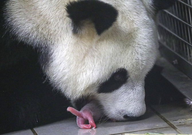 Photo detail