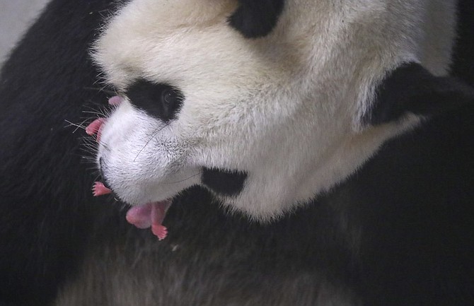 Photo detail