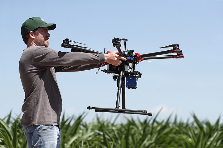 In this Thursday, July 11, 2019, photograph, United States Department of Agriculture intern Alex Olsen prepares to place down a drone at a research farm northeast of Greeley, Colo. Researchers are using drones carrying imaging cameras over the fields in conjunction with stationary sensors connected to the internet to chart the growth of crops in an effort to integrate new technology into the age-old skill of farming. (AP Photo/David Zalubowski)