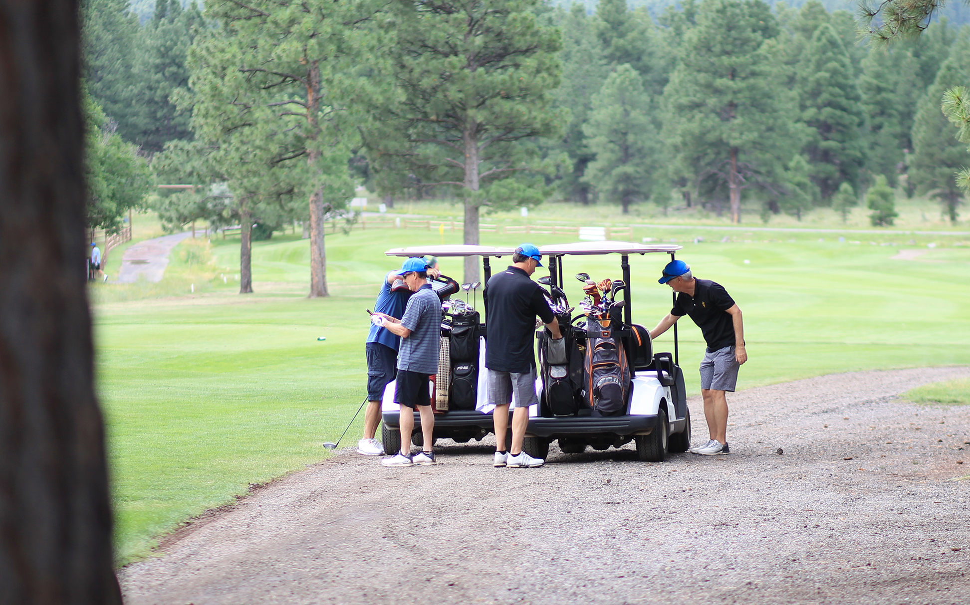 Friends of the Williams Aquatic Center Golf Tournament August 17