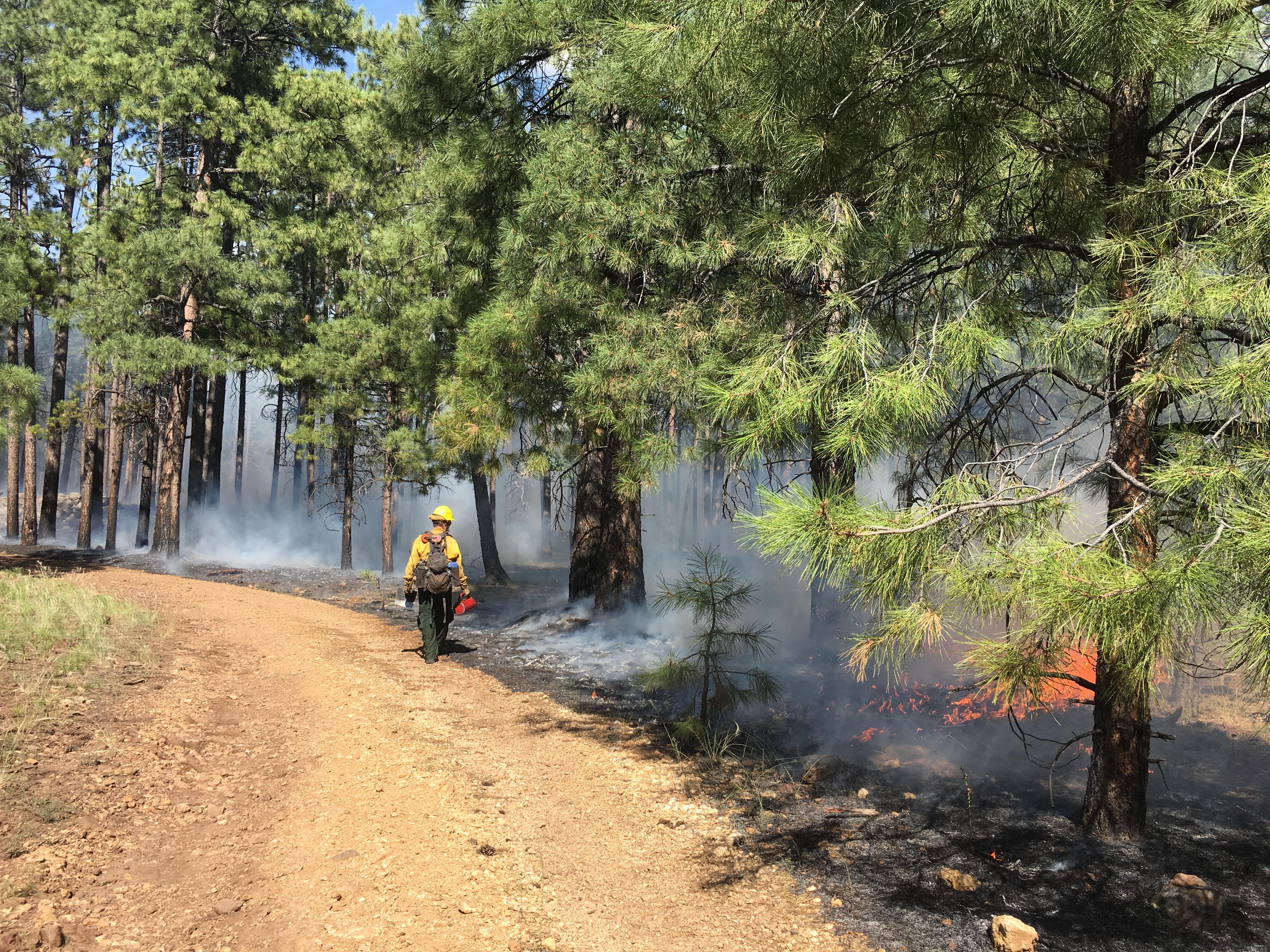 Area fires bring smokefilled skies to Verde Valley The Verde