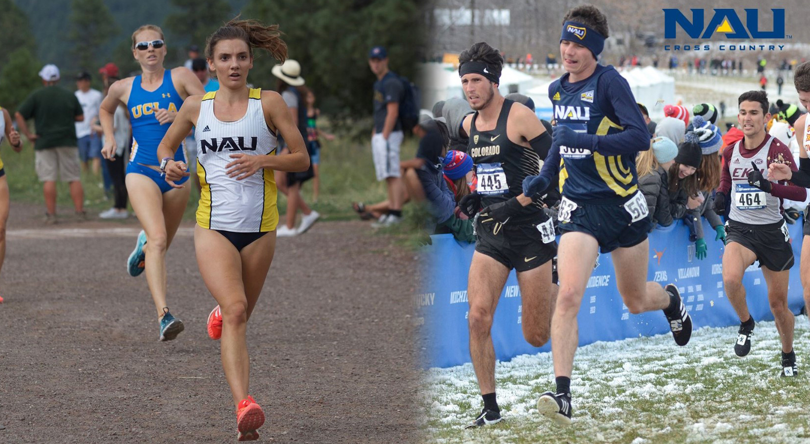NAU picked to sweep men’s and women’s Big Sky cross country The Verde