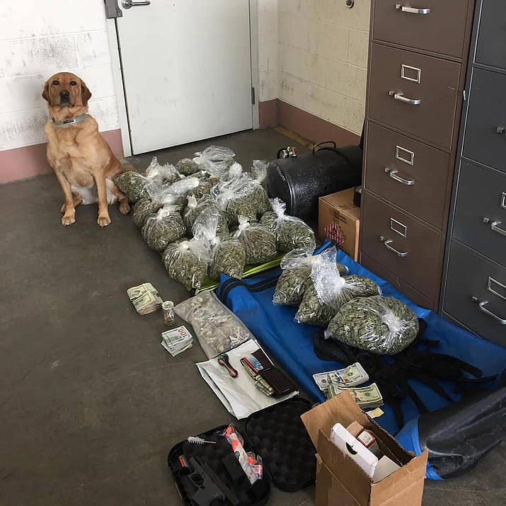 Prescott Police Department K9 Blue poses next to a large amount of marijuana and other contraband seized during a drug bust in early April 2019. As of July 1 2019, Blue and his handler, officer Shawn Bray, were assigned to assist Partners Against Narcotics Trafficking with drug interdiction and investigations. (Prescott Police Department/Courtesy, file)