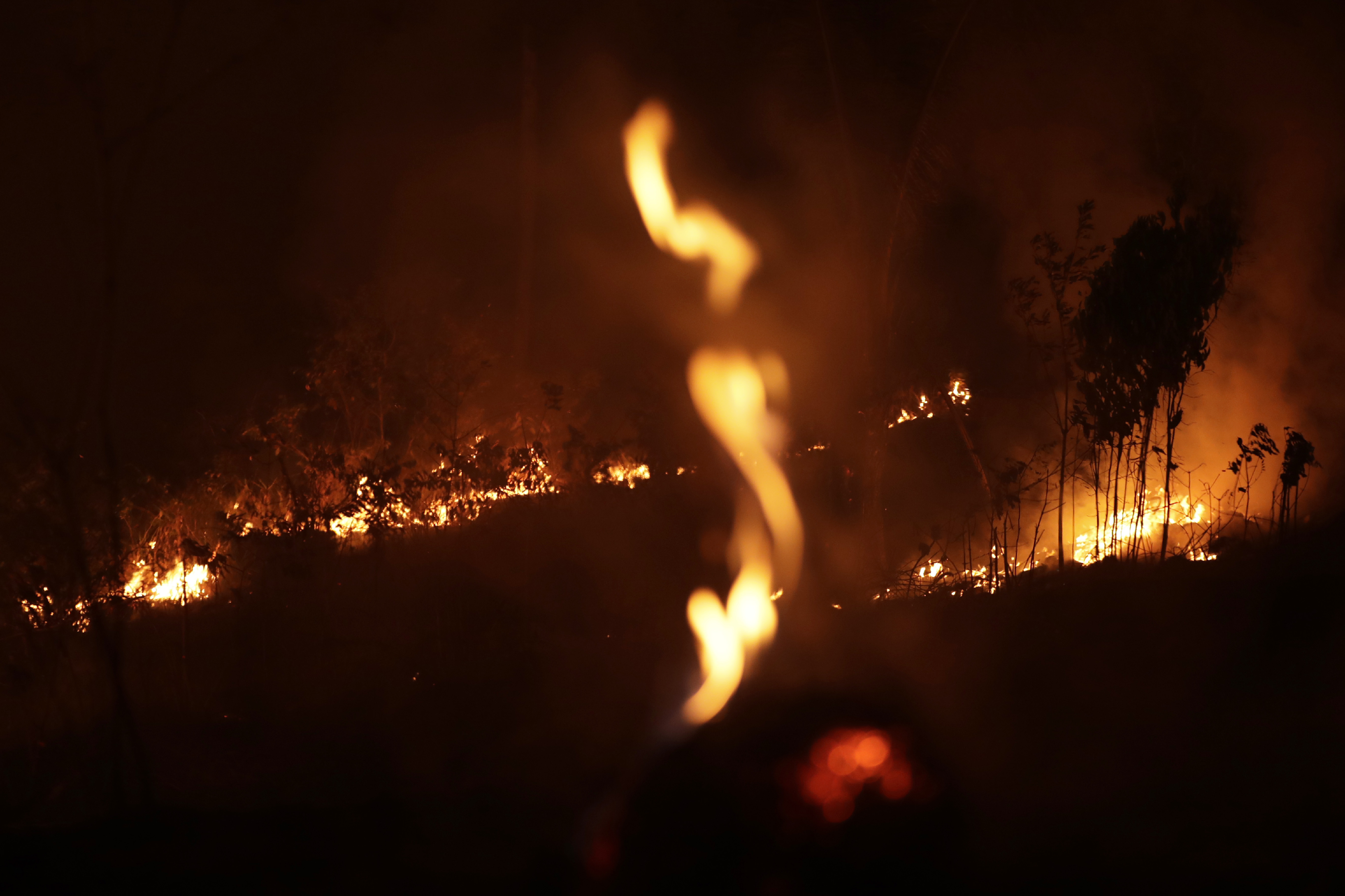 Огненное зарево пожара. Огненное лето. Борьба с лесными пожарами в России. Fire Brazil.