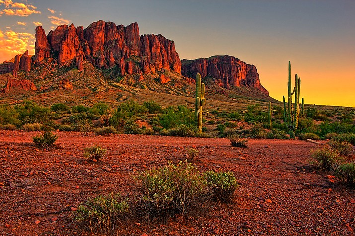 are dogs allowed at lost dutchman state park