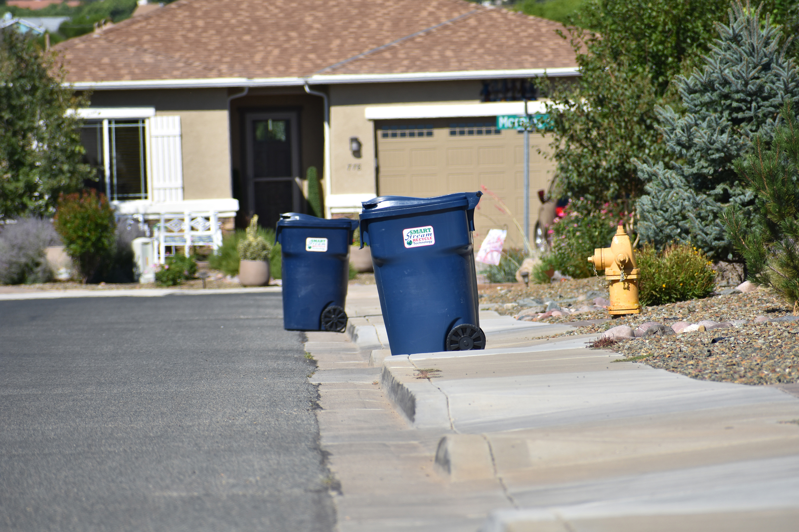Street or sidewalk? Where that can belongs on trash day The Daily