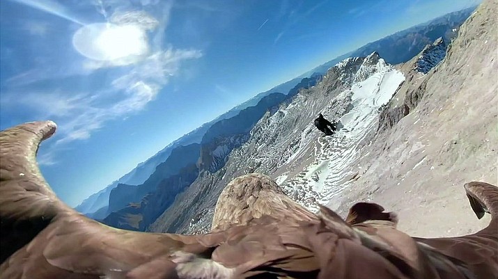 Soaring eagle films crumbling Alpine glaciers as Earth warms The