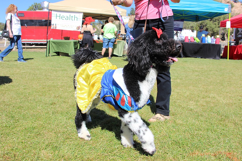 Lucy struts her stuff dressed as Snow White at Watson Lake Park during Dogtoberfest Sunday, Oct. 6, 2019. The event included vendors, K-9 demonstrations, a costume contest, dog adoptions and much more.  (Max Efrein/Courier)