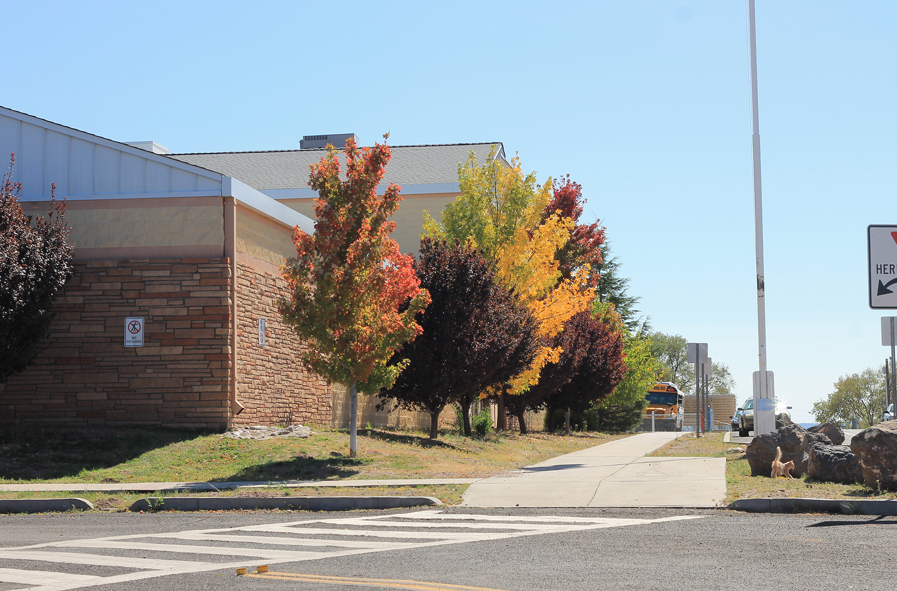 Ash Fork Elementary honored as National Blue Ribbon school Williams