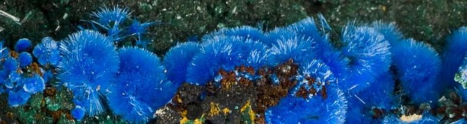 Photo detail