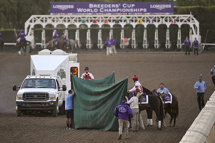 Track workers treat Mongolian Groom after the Breeders' Cup Classic horse race at Santa Anita Park, Saturday, Nov. 2, 2019, in Arcadia, Calif. The jockey eased him up near the eighth pole in the stretch. The on-call vet says he has "serious" injury to leg. Was taken to equine hospital on the grounds. (Mark J. Terrill/AP)