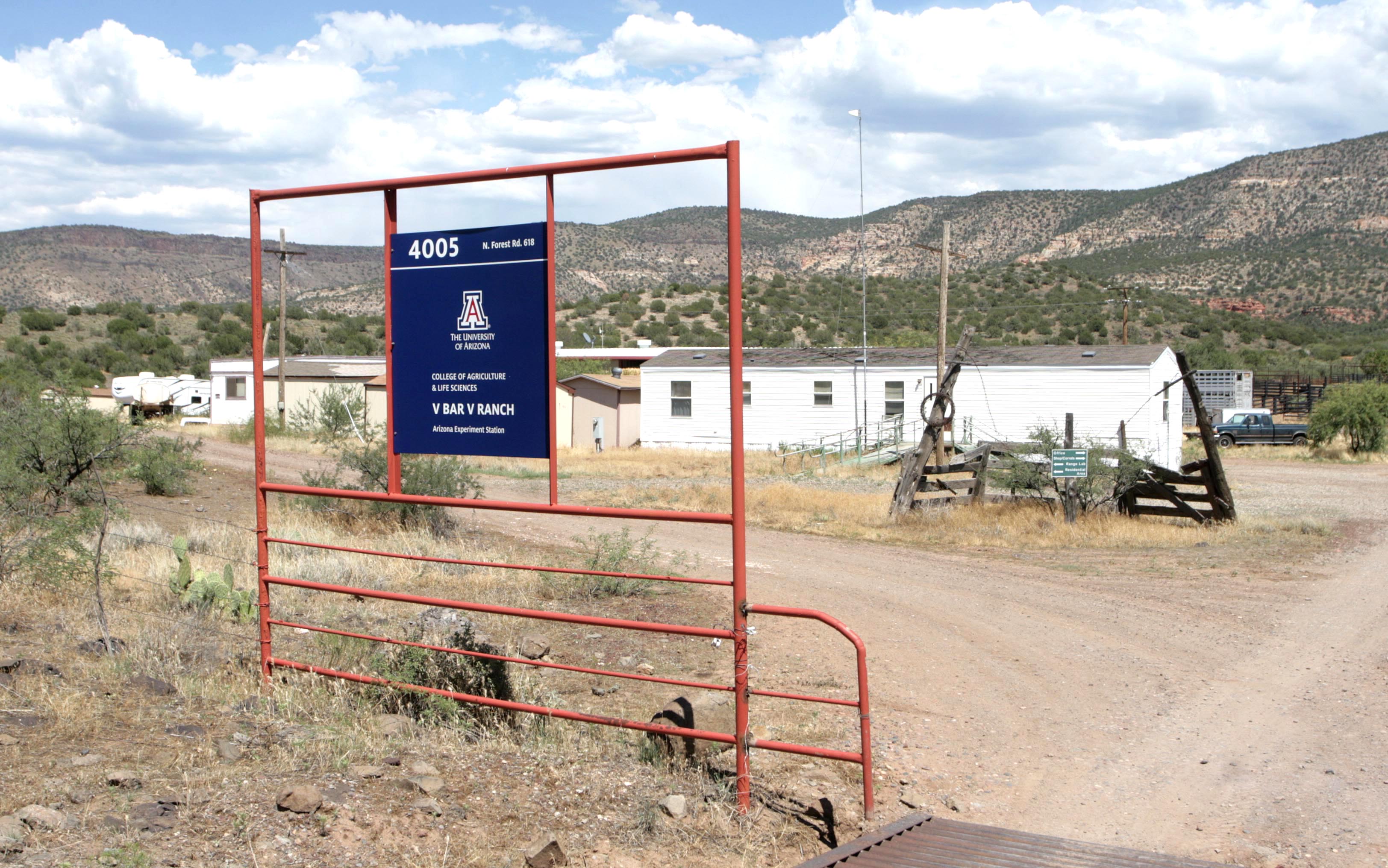 University of Arizona to offer veterinary medicine program in Rimrock