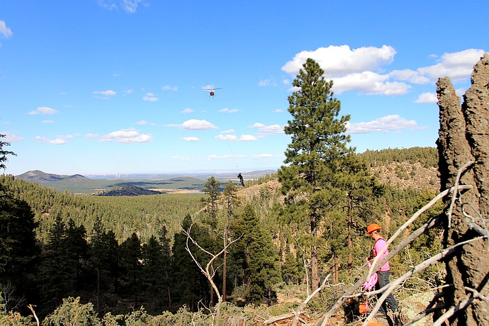 Aerial logging is being conducted through December to help reduce the risk of fire and flooding hazards on the northeast slope of Bill Williams Mountain. (Wendy Howell/WGCN)