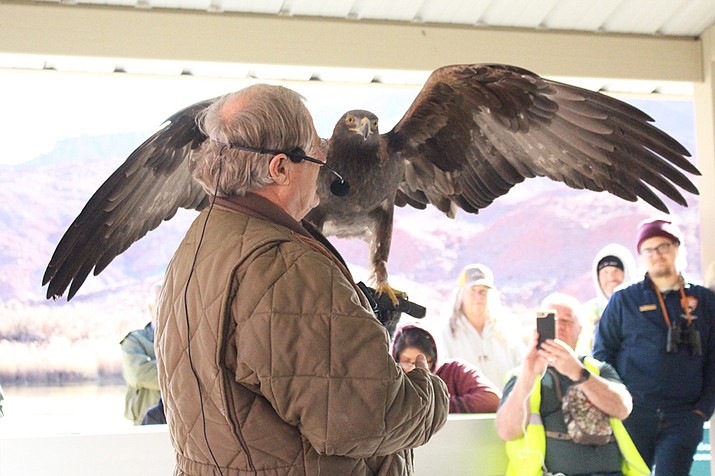Christmas Bird Count For Kids Dec 14 At Lees Ferry Grand