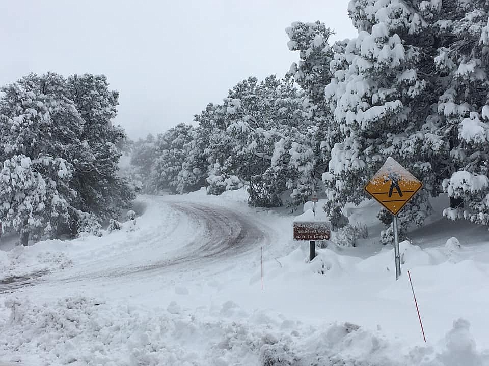 Winter storm wallops northern Arizona WilliamsGrand Canyon News