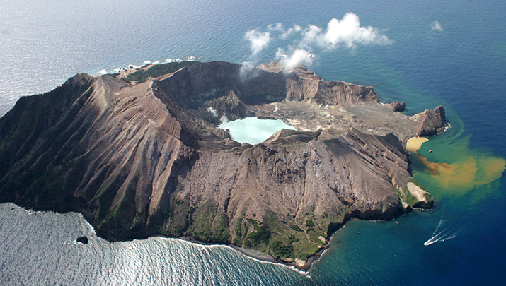 5 dead many more missing in eruption of New Zealand 