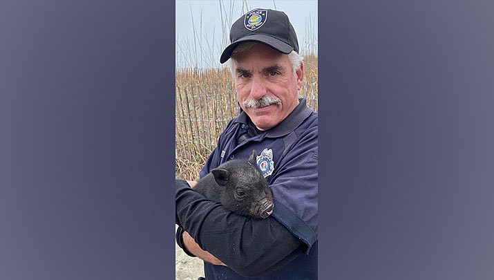 A photo of a sand-speckled Biscuit shows him post-rescue and tucked into the arm of one of his saviors. Officers are working to unite him with his family, police said. (Myrtle Beach Police Dept., Facebook)