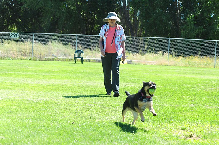 Linda Williams lets her dog Missy get some running time in at the Willow Creek Park baseball field, the temporary home of the Prescott dog park as the old one goes through renovations. (Les Stukenberg/Courier, file)
