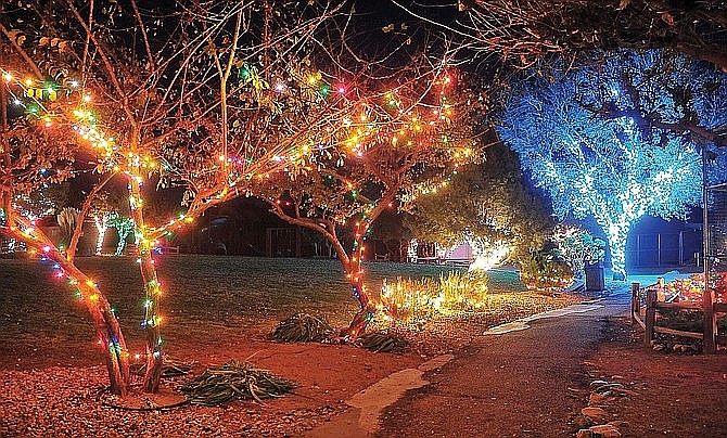 In this file image, trees are decorated with holiday lights at The Heritage Park Zoological Sanctuary.  The sanctuary has extended its “Wildlights and Animal Sights” holiday light display for locals to enjoy through Saturday, Jan. 4, (Courier file photo)