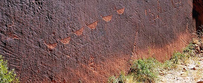 Archaeologists believe the Descending Sheep petroglyph panel, located on the Colorado River is between 3,000 and 6,000 years old. (C. Sequanna/NPS)