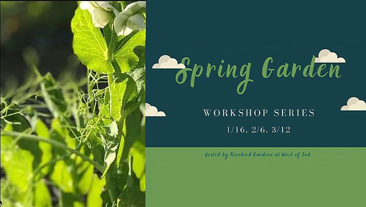 Attend A Spring Workshop Series Garden Planning And Succession