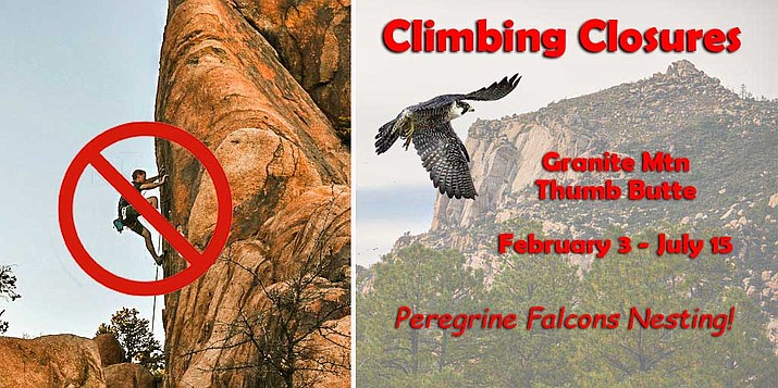 Rock climbing will be prohibited on Granite Mountain and Thumb Butte for peregrine falcon preservation efforts from Feb. 3 to July 15, 2020. (PNF/Courtesy)